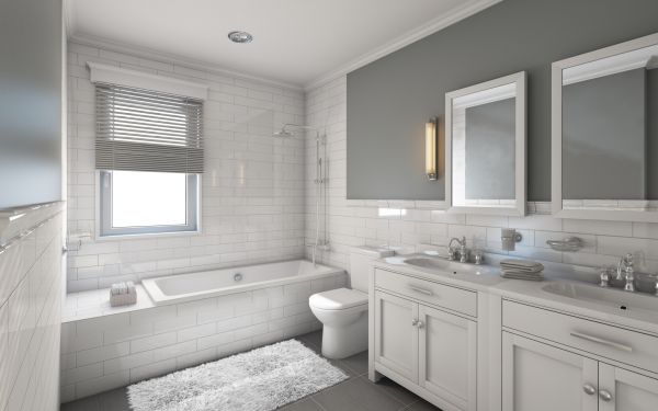 Restroom Remodeling in Bismarck